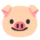 pig